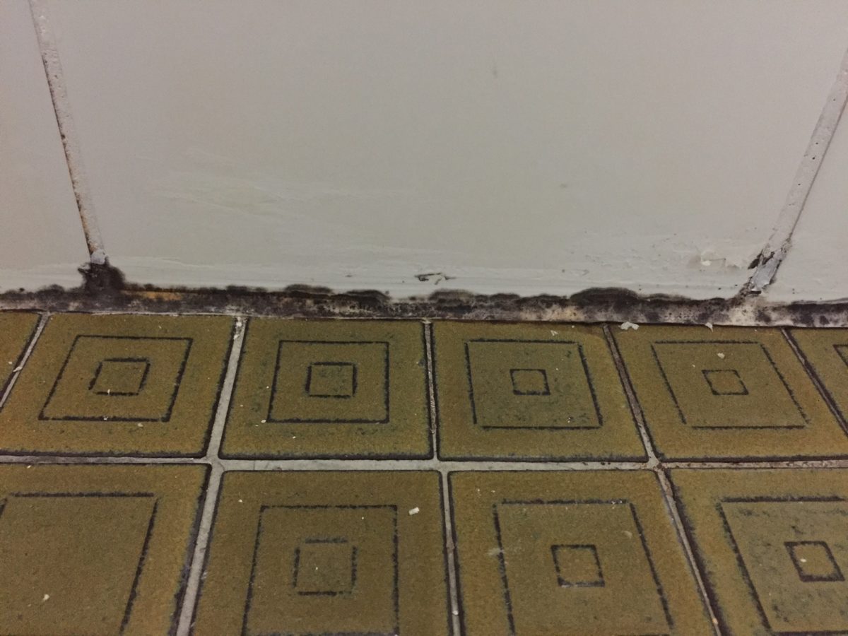 Infiltrazioni d’acqua piovana in casa