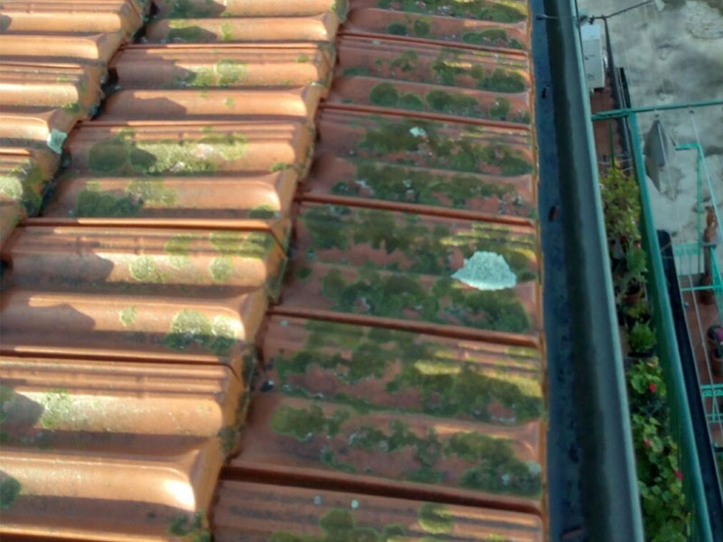 SOSTITUZIONE GRONDAIE SENZA PONTEGGIO A PALERMO
