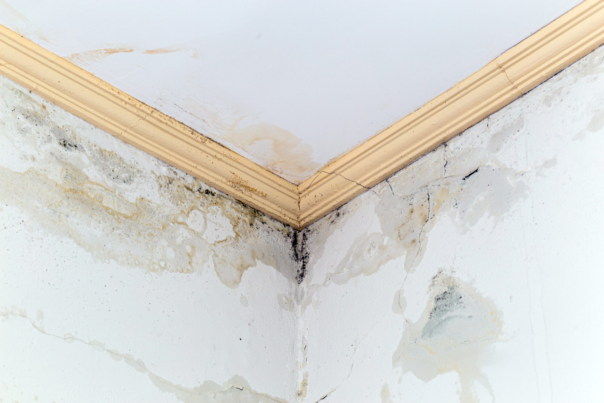 Infiltrazioni d’acqua dal soffitto: chi paga e cosa fare